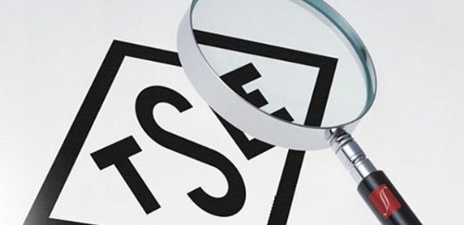 Tse Görevleri Nelerdir?