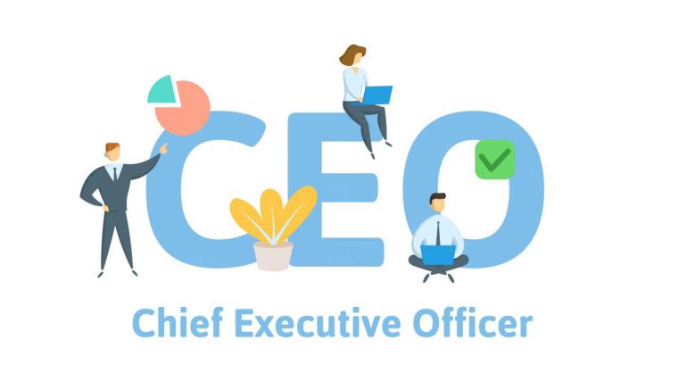 Ceo Görevleri Nelerdir?